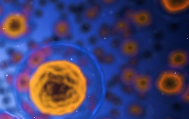 世界买球网-世界杯买球网-欧宝体育联赛-压球站-世界杯体球网-世界杯球盘网-天天体育