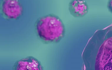 世界买球网-世界杯买球网-欧宝体育联赛-压球站-世界杯体球网-世界杯球盘网-天天体育