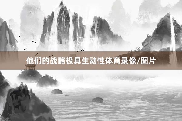 他们的战略极具生动性体育录像/图片