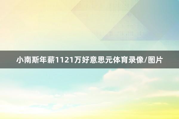 小南斯年薪1121万好意思元体育录像/图片