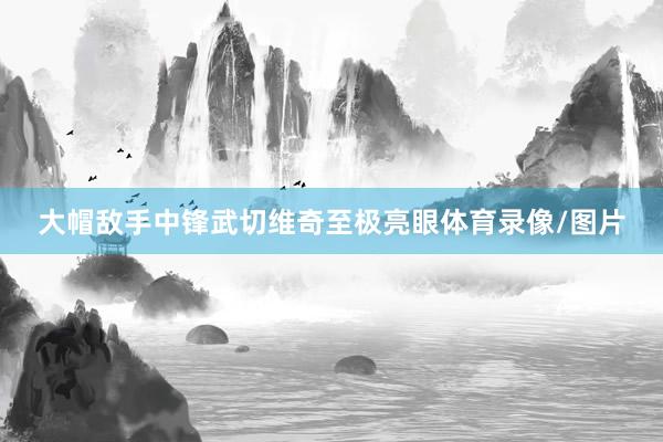 大帽敌手中锋武切维奇至极亮眼体育录像/图片