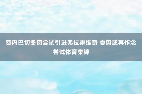费内巴切冬窗尝试引进弗拉霍维奇 夏窗或再作念尝试体育集锦