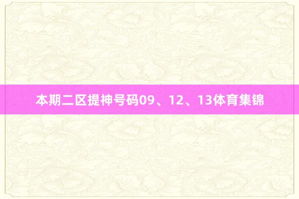 本期二区提神号码09、12、13体育集锦