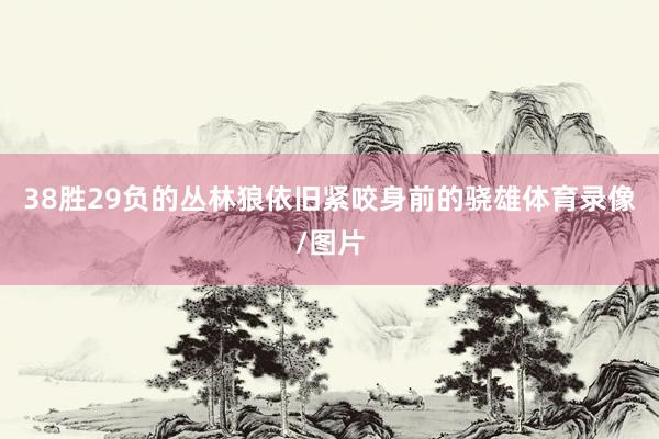 38胜29负的丛林狼依旧紧咬身前的骁雄体育录像/图片