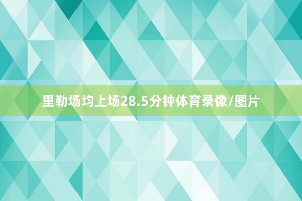 里勒场均上场28.5分钟体育录像/图片