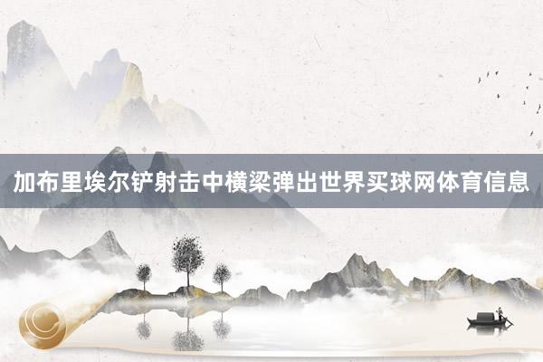 加布里埃尔铲射击中横梁弹出世界买球网体育信息