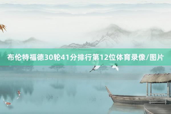 布伦特福德30轮41分排行第12位体育录像/图片