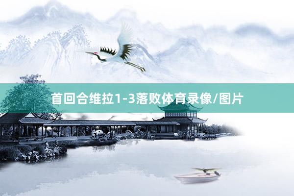 首回合维拉1-3落败体育录像/图片