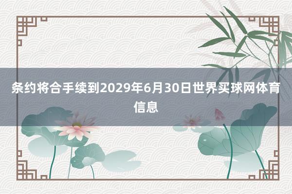 条约将合手续到2029年6月30日世界买球网体育信息