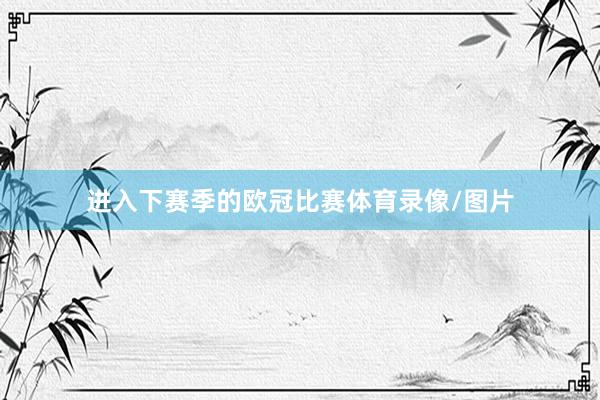 进入下赛季的欧冠比赛体育录像/图片