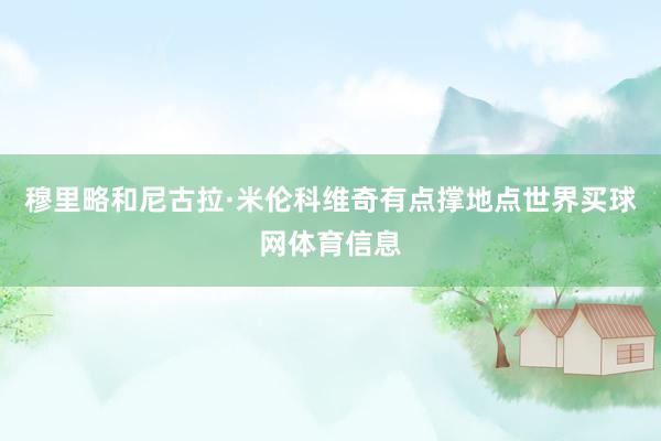 穆里略和尼古拉·米伦科维奇有点撑地点世界买球网体育信息