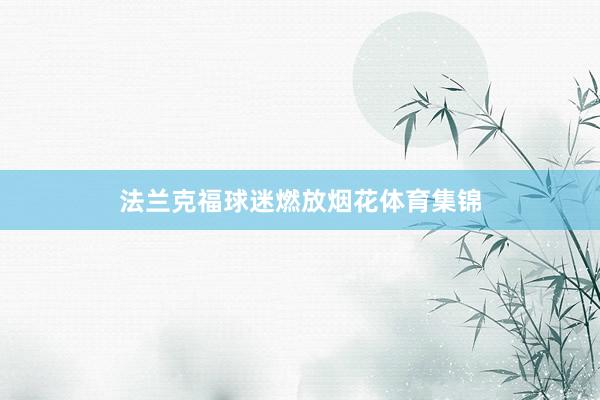 法兰克福球迷燃放烟花体育集锦