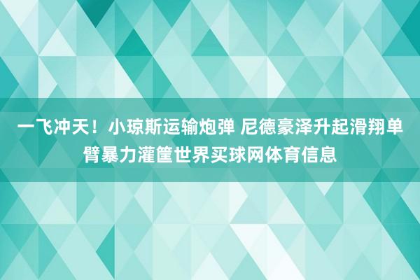 一飞冲天！小琼斯运输炮弹 尼德豪泽升起滑翔单臂暴力灌筐世界买球网体育信息