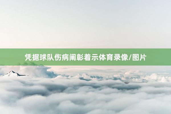 凭据球队伤病阐彰着示体育录像/图片
