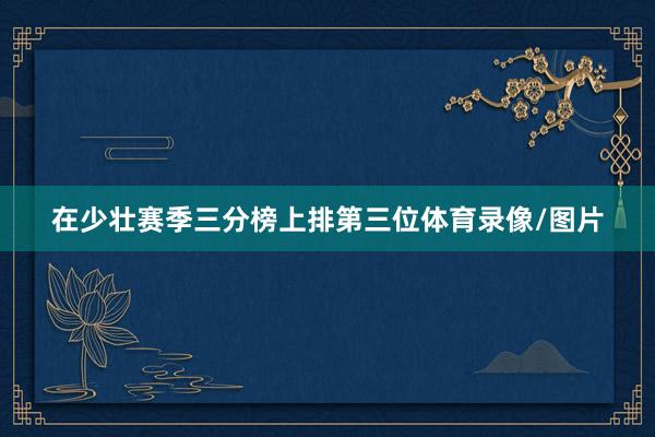 在少壮赛季三分榜上排第三位体育录像/图片