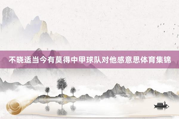 不晓适当今有莫得中甲球队对他感意思体育集锦