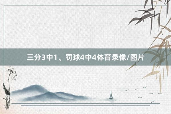 三分3中1、罚球4中4体育录像/图片