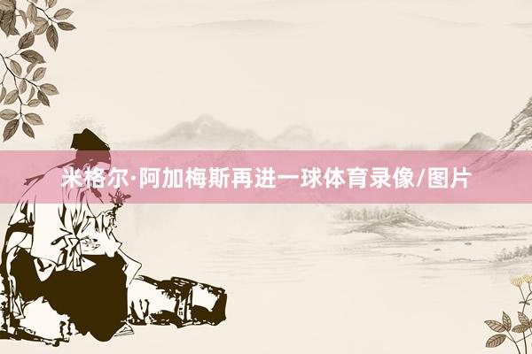 米格尔·阿加梅斯再进一球体育录像/图片