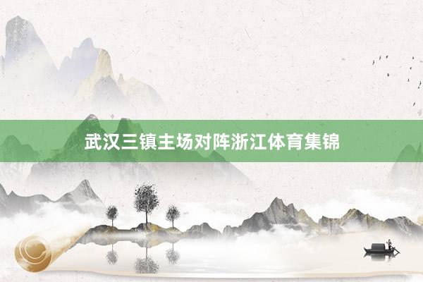 武汉三镇主场对阵浙江体育集锦