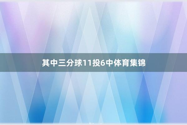 其中三分球11投6中体育集锦