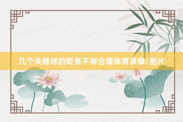 几个关键球的贬责不够合理体育录像/图片
