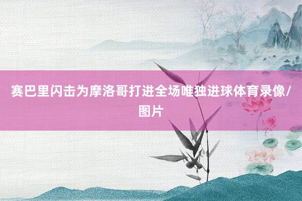 赛巴里闪击为摩洛哥打进全场唯独进球体育录像/图片