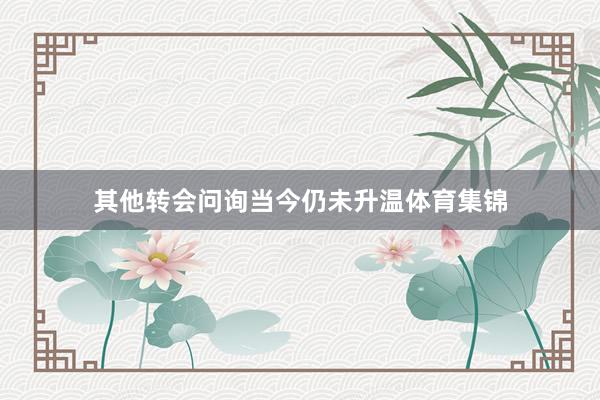 其他转会问询当今仍未升温体育集锦